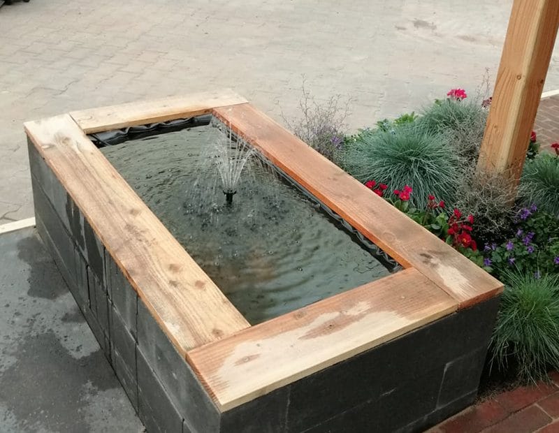 Vijver winterklaar maken: maak je vijver klaar voor de kou