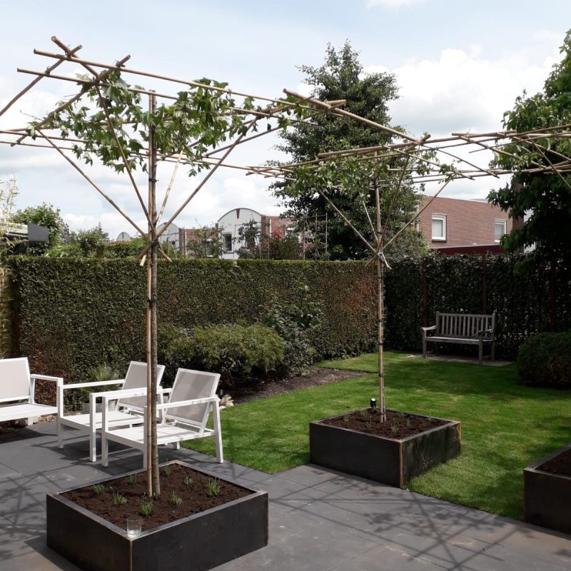 Beplantingsplan laten maken: de slimme start voor een levendige tuin