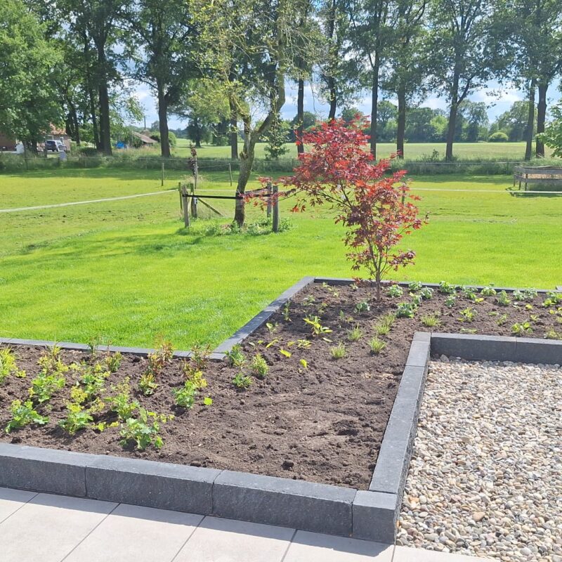 Border bemesten in het najaar: wanneer najaarsmest in uw tuin?