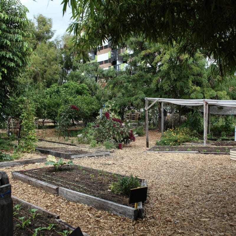 Moestuin mulchen in de winter: wat is het en wanneer doen?