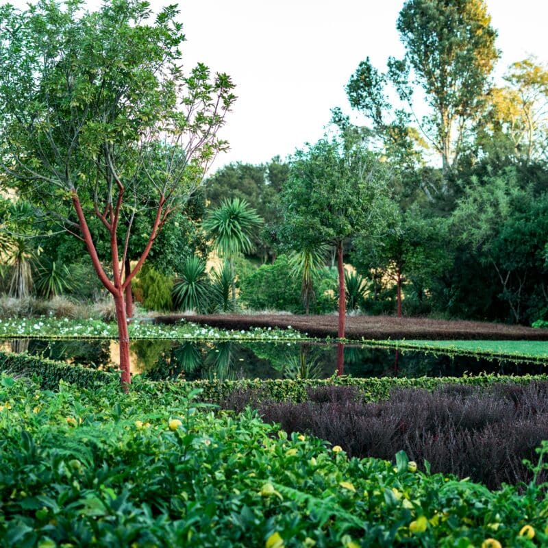 Bedrijfstuin laten aanleggen: aanleg van uw bedrijfstuin op maat